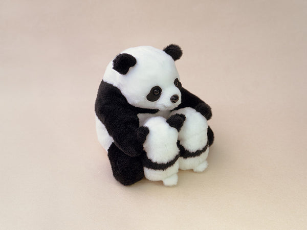 a2cd863321729ef2af3bb043d5b224