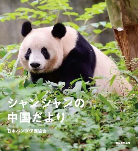 上野動物園パンダシャンシャン写真集（日本未発売）「被宠溺的表情　香香在东京」国宝 上野動物園パンダシャンシャン写真集（日本未発売）「被宠溺的