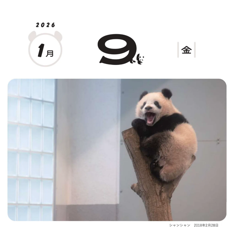 シャンシャン「パンダ記念日カレンダー入りクリアファイル」松坂屋【未開封新品】 シャンシャン「パンダ記念日カレンダー入りクリアファイル