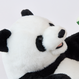 もぐもぐパンダ(タケノコ)