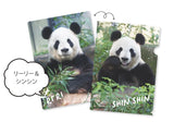 【宝島社】リーリー&シンシン メモリアルクリアファイルBOOK