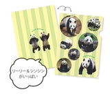 【宝島社】リーリー&シンシン メモリアルクリアファイルBOOK