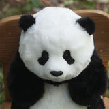 【PANDA PLANET】お座りリアルパンダ(シャンシャンミニ)