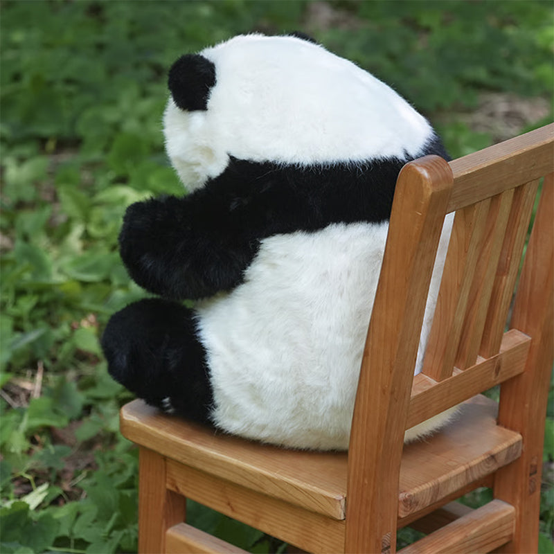 PANDA PLANET】5ヶ月齢座り姿のリアルパンダ シャンシャン（ID