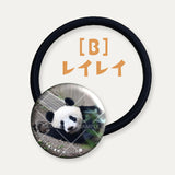 毎日パンダコレクション Part 2 ガラスヘアゴム レイレイ B