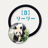 毎日パンダコレクション Part 2 ガラスヘアゴム リーリー B