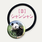 毎日パンダコレクション Part 2 ガラスヘアゴム シャンシャン B