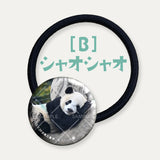 毎日パンダコレクション Part 2 ガラスヘアゴム シャオシャオ B