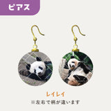 毎日パンダコレクション Part 2 ガラスピアス レイレイ
