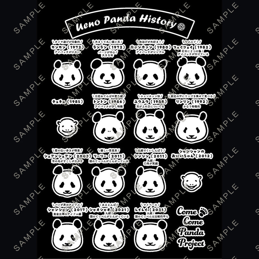 SNST_BK01_1024x.jpg?v=1762420274