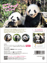 【トライエックス】ありがとう!シャオシャオ・レイレイ 思い出カレンダー(シャンシャンもいるよ!)