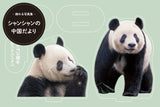 【朝日新聞出版】飾れる写真集 シャンシャンの中国だより アクリルスタンド