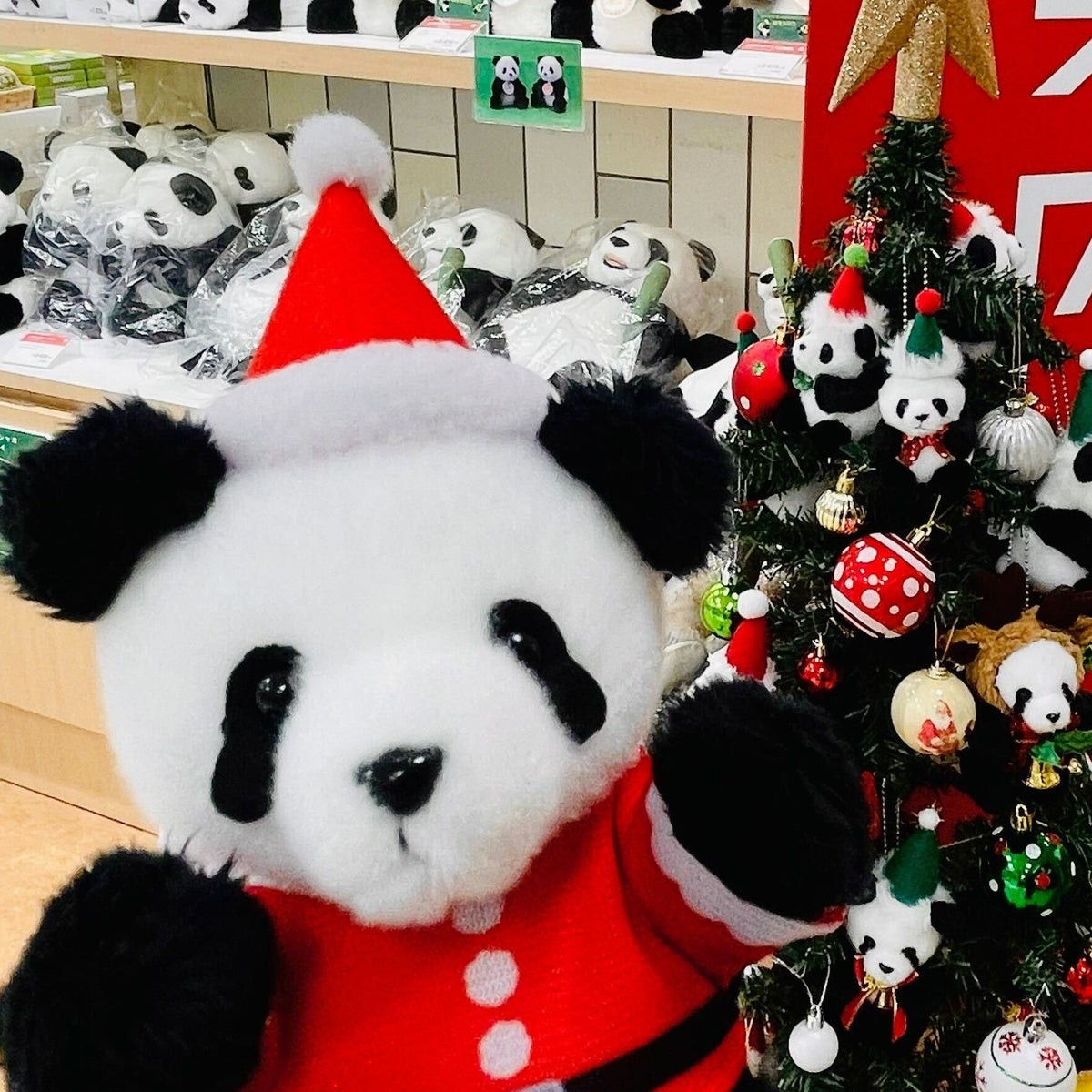 🐼上野案内所×熊猫堂ProducePandasコラボグッズ発売のお知らせ