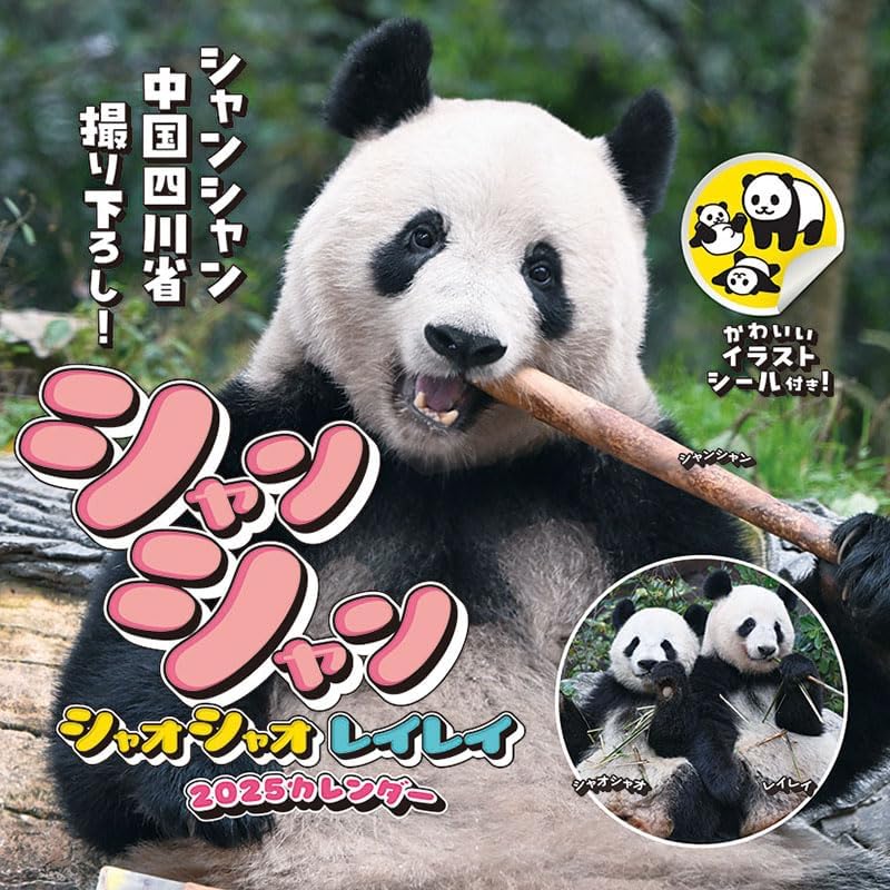 シンシン リーリー シャンシャン 受注オーダー こわい 公式ポストカード 上野動物園 ブロマイド セット 毎日パンダさん 売買されたオークション情報  落札价格 【au payマーケット】の商品情報をアーカイブ公開