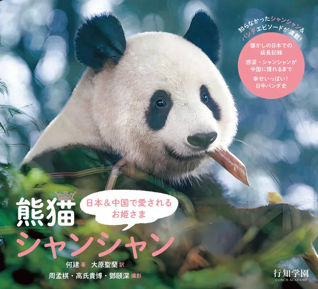 400fd193d3d4cf56bba623e432d690 400fd193d3d4cf56bba623e432d690