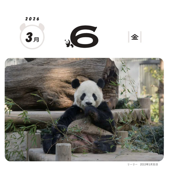 平凡社】『2026 日めくり！毎日シャンシャン365日カレンダー