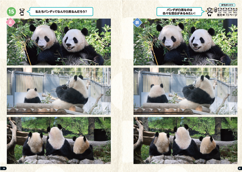 【マイクロマガジン社】パンダといっしょに遊ぶ　シャンシャンまちがい探し