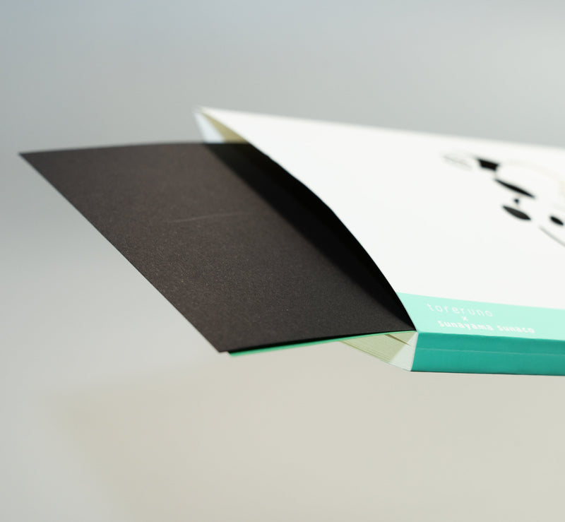 【天白製本紙工】　toreruno panda「あんよピ！パンダ」