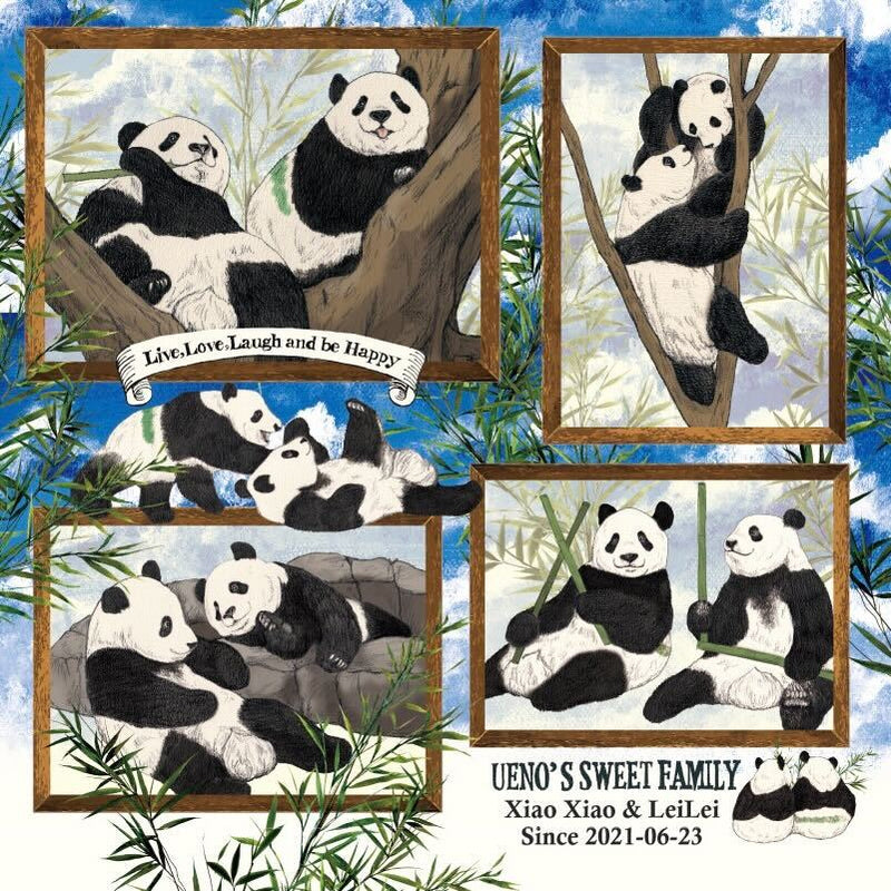 上野案内所 マスコット おでシャン ぬいぐるみ 文京 梅まつり 梅 白梅