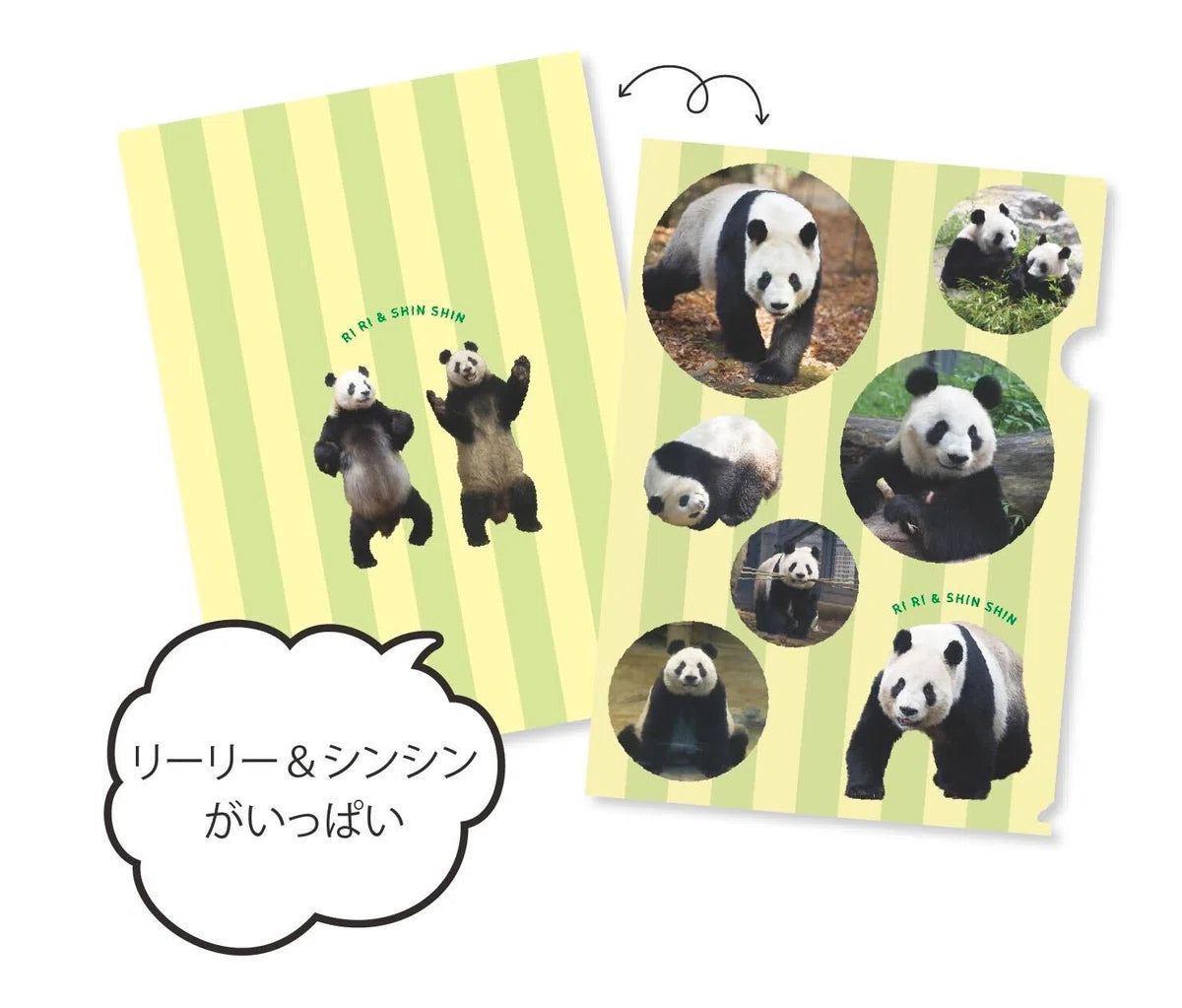 上野動物園 リーリー シンシン パンダ クリアファイル セット 宝島社】リーリー&シンシン メモリアルクリアファイルBOOK