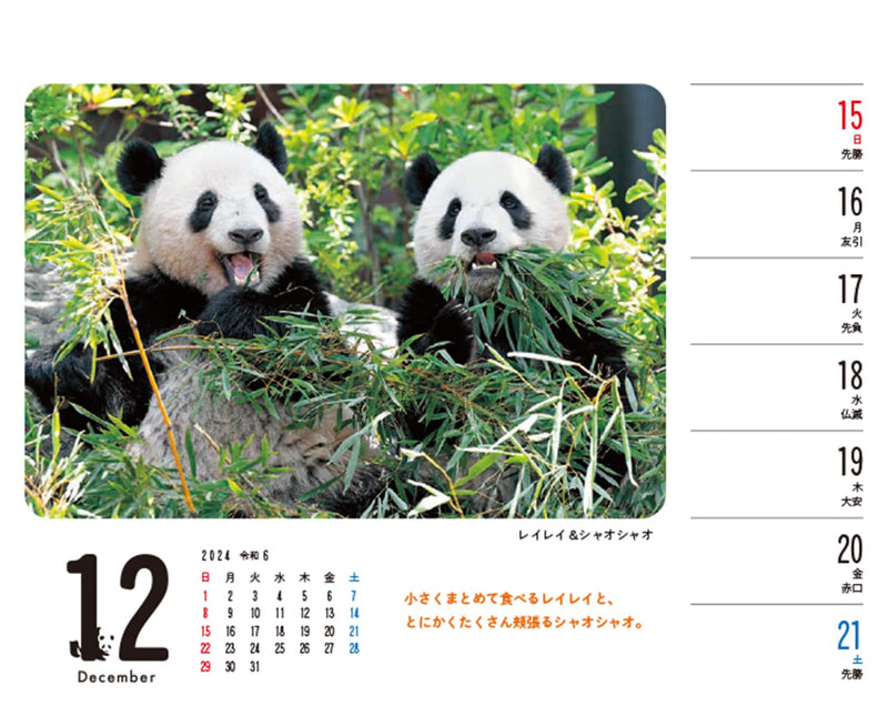 【平凡社】シャンシャン シャオシャオ＆レイレイ　毎週パンダ！ カレンダー2024