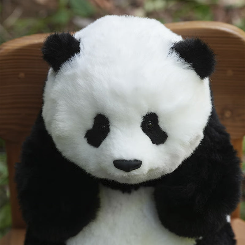 PANDA PLANET】お座りリアルパンダ（シャンシャンミニ） – 江戸東京一