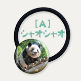 毎日パンダコレクション　Part 2　ガラスヘアゴム　シャオシャオ　A
