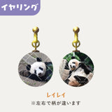 毎日パンダコレクション　Part 2　ガラスイヤリング　レイレイ