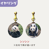毎日パンダコレクション　Part 2　ガラスイヤリング　シンシン