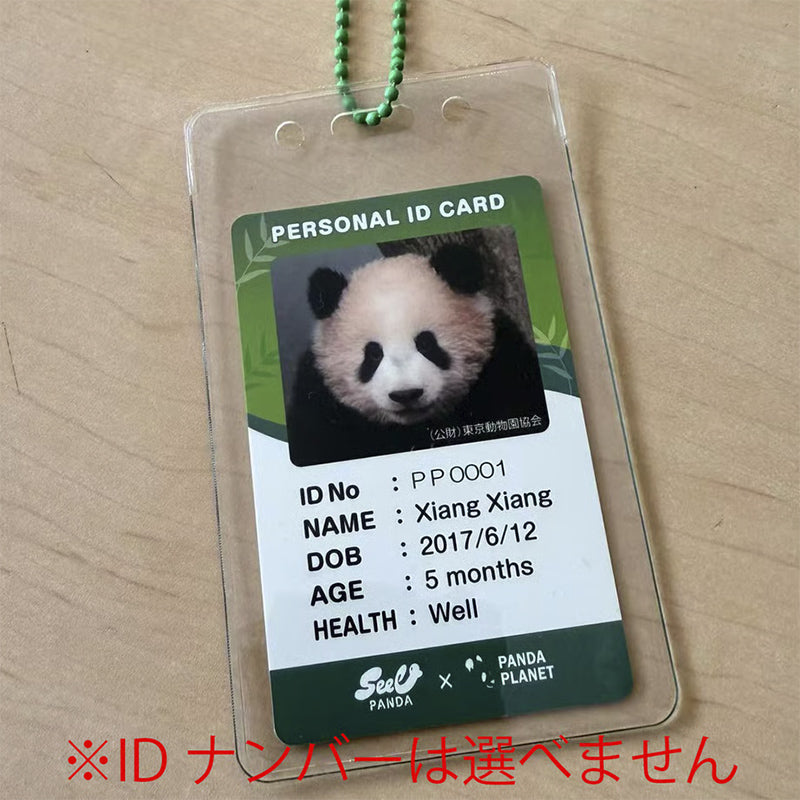 PANDA PLANET】5ヶ月齢座り姿のリアルパンダ シャンシャン（ID