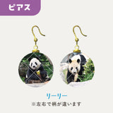 毎日パンダコレクション　Part 2　ガラスピアス　リーリー