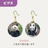 毎日パンダコレクション　Part 2　ガラスピアス　シンシン