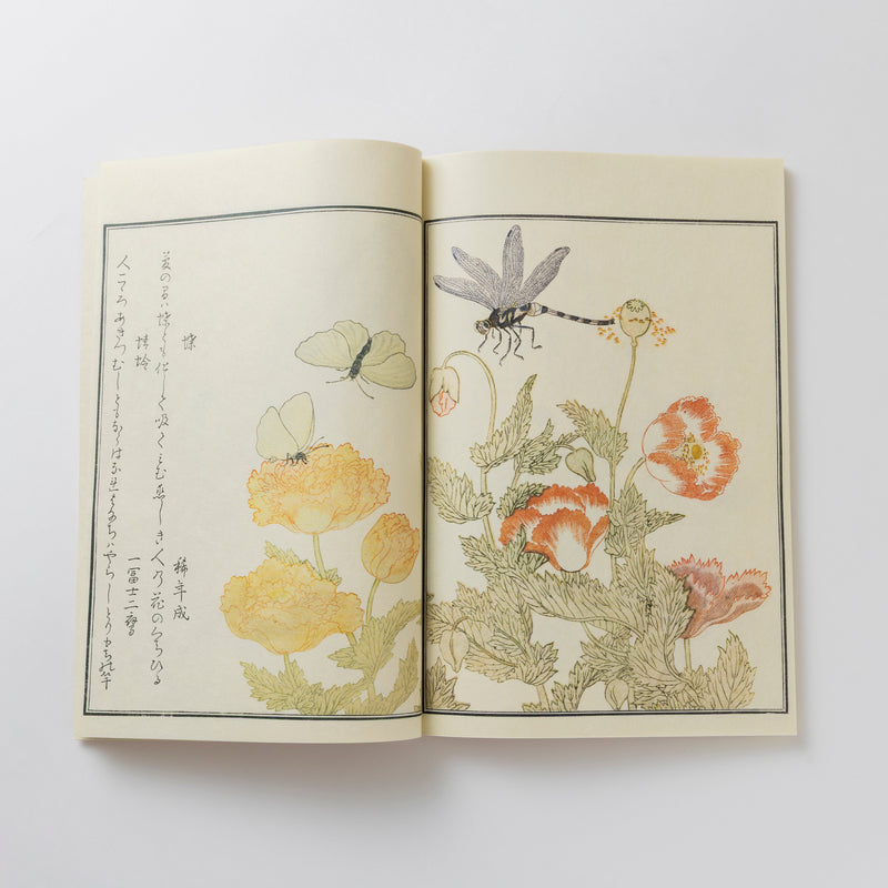 【和綴じ本 レプリカ】画本虫撰(上下巻セット)