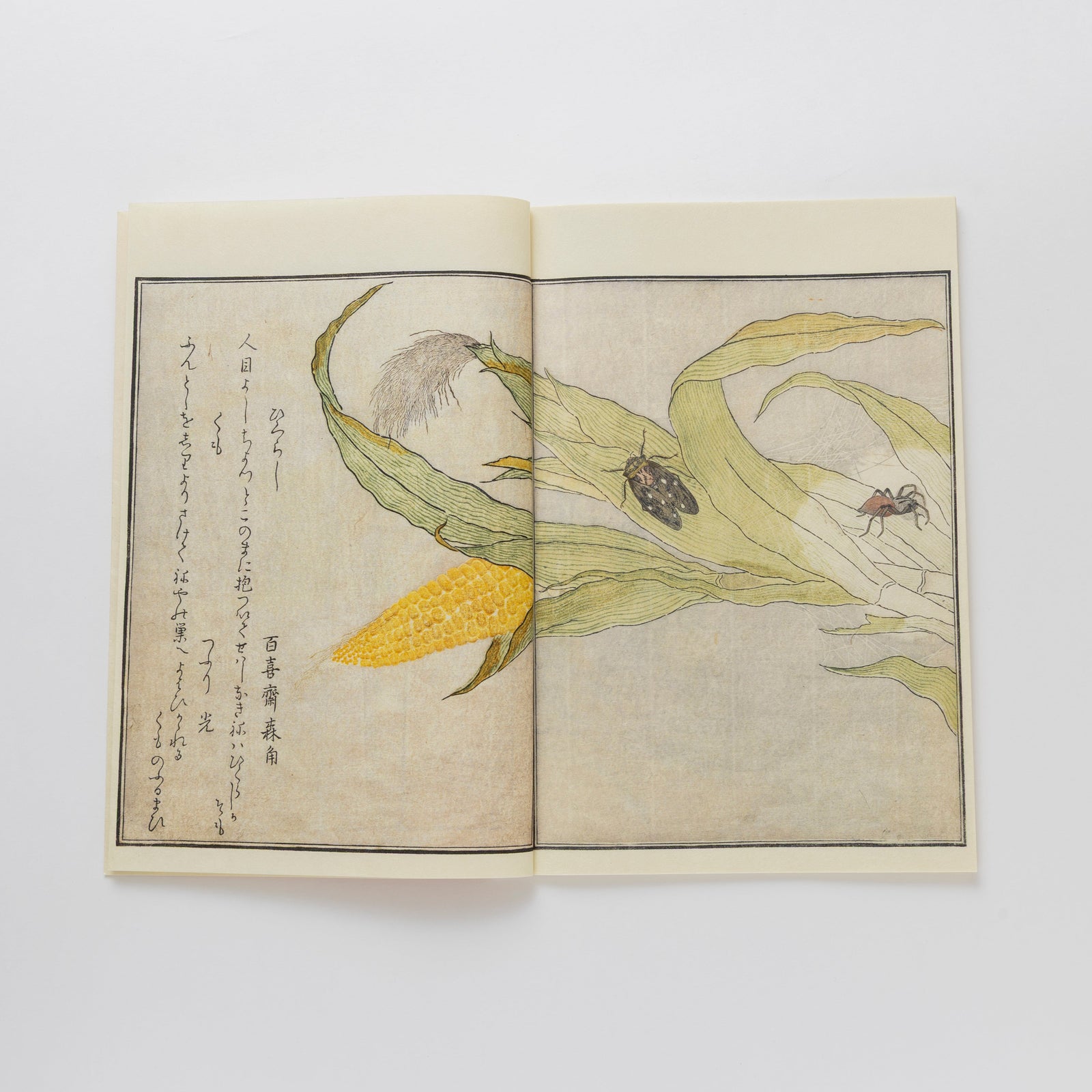 和綴じ本 レプリカ】画本虫撰(上下巻セット) – 江戸東京一