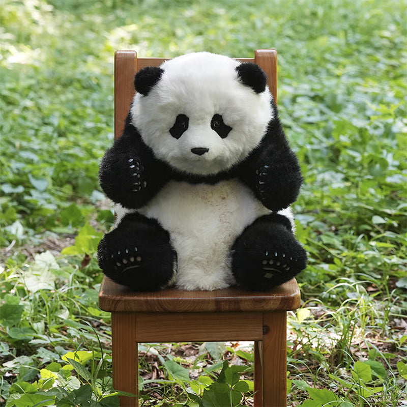 PANDA PLANET】5ヶ月齢座り姿のリアルパンダ シャンシャン（ID