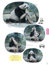 【技術評論社】会いたかったよ！浜家、上野パンダファミリー最新事情～梅蘭、福宝、和花も！～