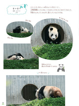 【技術評論社】会いたかったよ！浜家、上野パンダファミリー最新事情～梅蘭、福宝、和花も！～