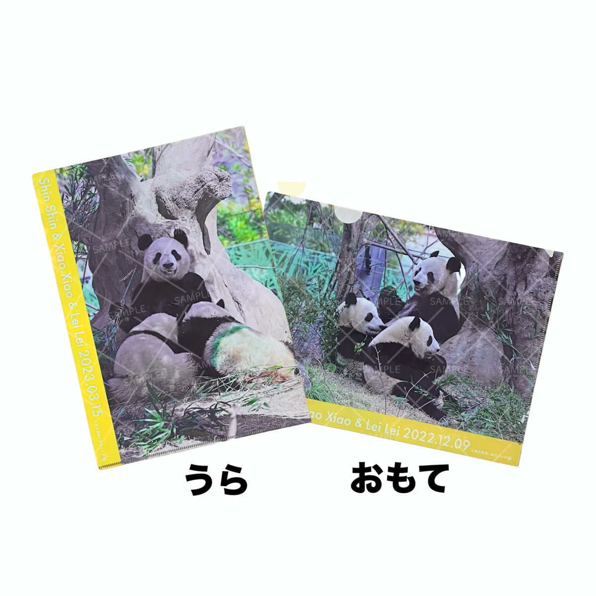 毎日パンダコレクション – 江戸東京一