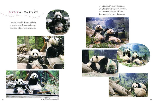 【技術評論社】あふれる笑顔！　双子パンダ　シャオシャオ＆レイレイ ～わくわく・ドキドキな双子物語～