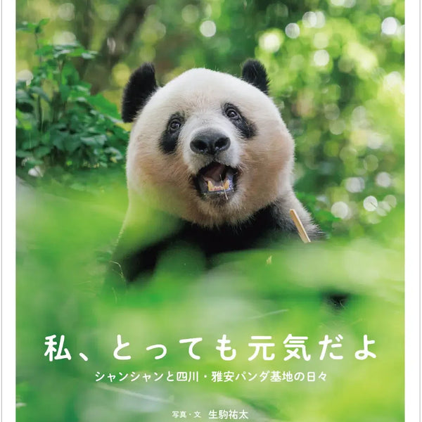 行知学園】私、とっても元気だよ シャンシャンと四川・雅安パンダ基地