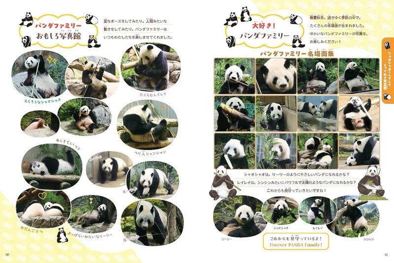 【技術評論社】あふれる笑顔！　双子パンダ　シャオシャオ＆レイレイ ～わくわく・ドキドキな双子物語～
