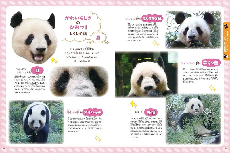 【技術評論社】あふれる笑顔！　双子パンダ　シャオシャオ＆レイレイ ～わくわく・ドキドキな双子物語～