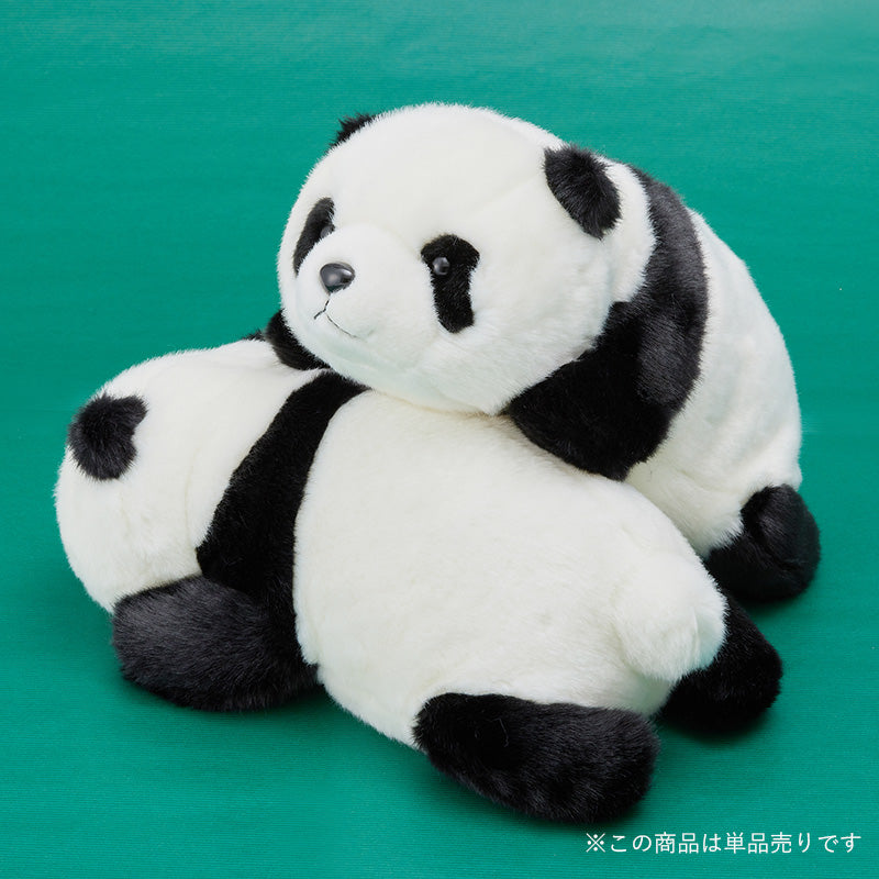 Nade Nade Little Panda (45 Days Old)